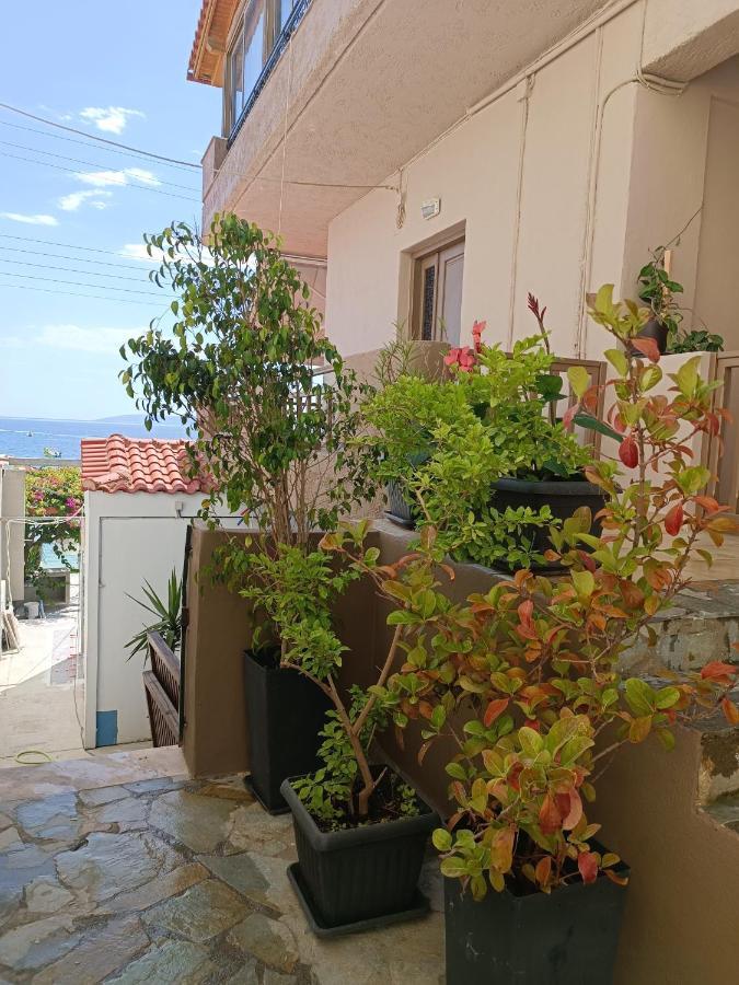 Buganvilla Sea View Apts Ajía Pelajía Kültér fotó